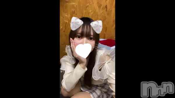 &#x1F431;