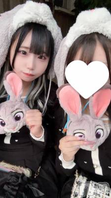 Įʥå륺СL'asile(饸) (20)1012̥֥֤塼