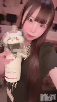 ‎🤍🎀