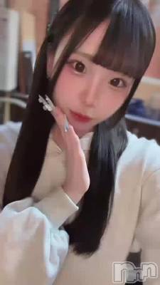 �������🦭