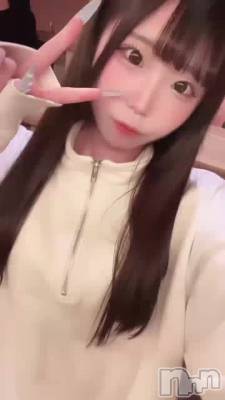 ǯ���Ǥ����🦭