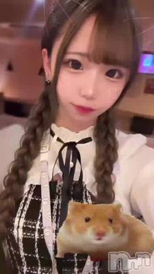 Ϥ褦ޤ ᴖ ̫ᴖ ˥