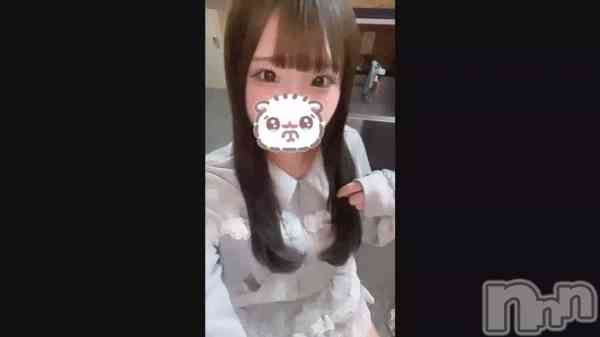 ��🦭🤍��