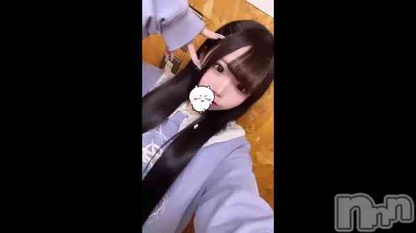 &#x1F408;&#x200E;&#x1F90D;