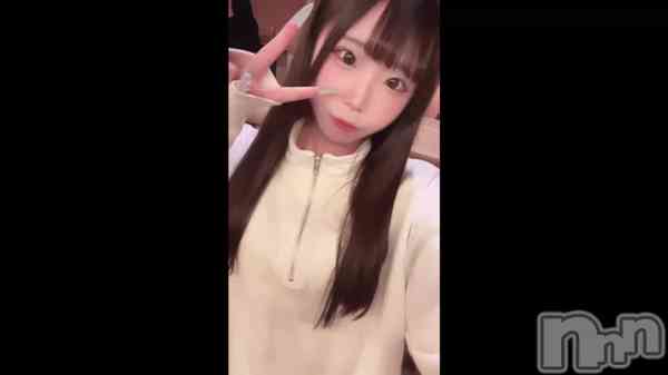 ��ǯ���Ǥ����🦭��