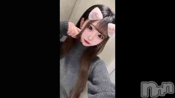 ֲڶ&#x1F408;&#x1F338;