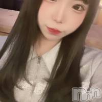 ����(20) ��Ĺ153cm����Į���ʥå��������륺�С� L'asile(�饸����)���ҡ�