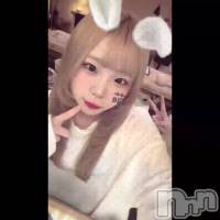 ����Ǥ�🐰