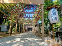 新潟風俗エステGRACE　新潟(グレース　ニイガタ) 七瀬(32)の7月30日写メブログ「夏を感じる🎐❤︎」