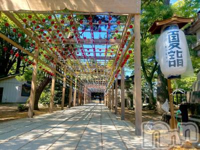 新潟風俗エステ GRACE　新潟(グレース　ニイガタ) 七瀬(32)の7月30日写メブログ「夏を感じる🎐❤︎」
