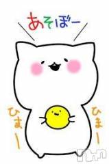 長岡デリヘル奥様特急 長岡店(オクサマトッキュウナガオカテン) まりな(25)の8月29日写メブログ「おはよです」