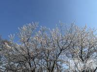 Ʋʥå륺Сfeel bar prs(եСץ) Ȥ(18)418ֺ̥֥