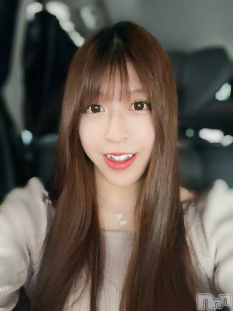 ȯѥ˥󥯥ֿ㥳ѥ˥ -϶15ǯοȼ-(˥ѥ˥󥹥) ʤʡȡ69ֲ̥֥Ǥ