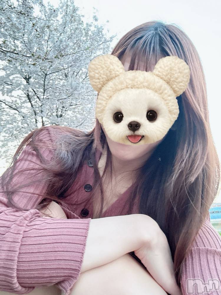 ȯѥ˥󥯥ֿ㥳ѥ˥ -϶15ǯοȼ-(˥ѥ˥󥹥) ʤʡȡ415̥֥ܿͤޤƥ襫å🌸🌸🌸🇯🇵