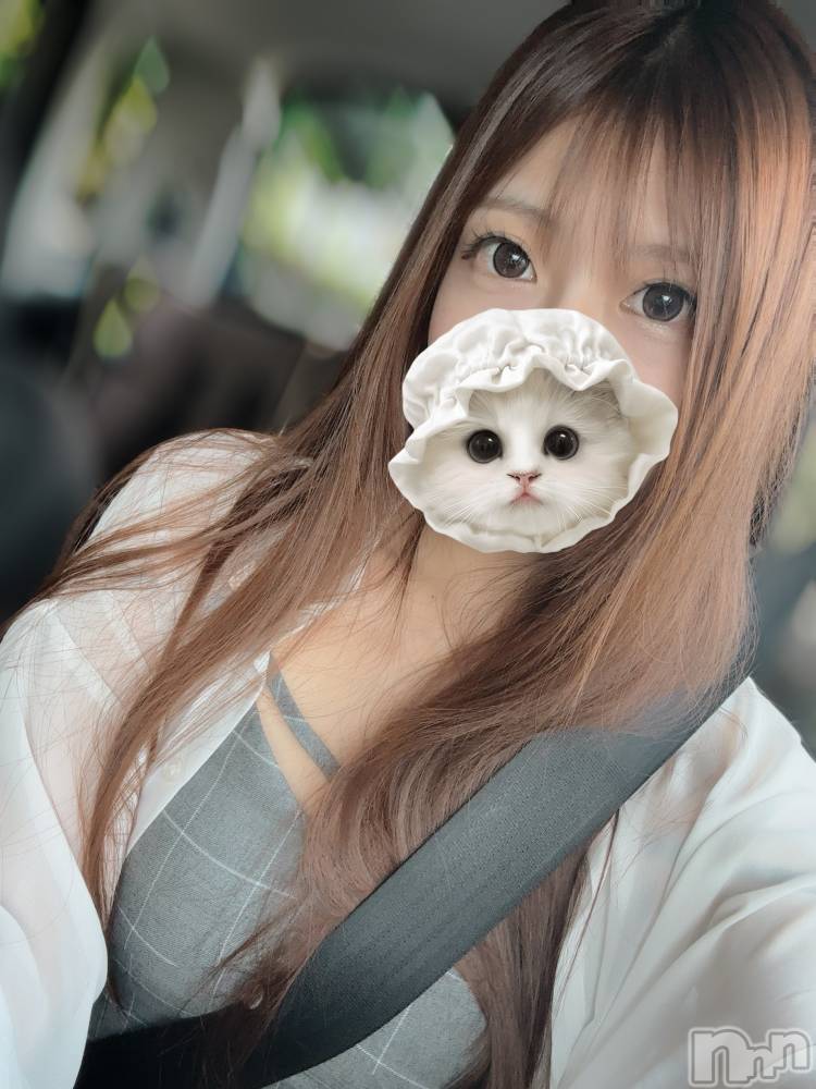 ȯѥ˥󥯥ֿ㥳ѥ˥ -϶15ǯοȼ-(˥ѥ˥󥹥) ڿۤ͡Ρ쥫822̥֥֤ʤͤ˲񤤤˹Ԥ