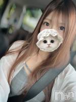 ȯѥ˥󥯥ֿ㥳ѥ˥ -϶15ǯοȼ-(˥ѥ˥󥹥) ʤʡȡ(28)822̥֥֤ʤͤ˲񤤤˹Ԥ
