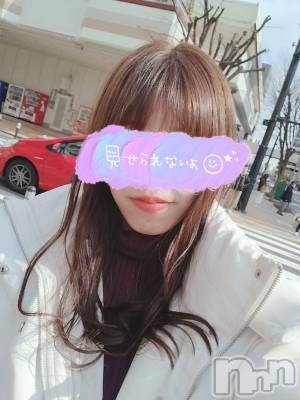 ȯѥ˥󥯥ֿ㥳ѥ˥ -϶15ǯοȼ-(˥ѥ˥󥹥) ʤʡȡ(28)315̥֥ȱ֥