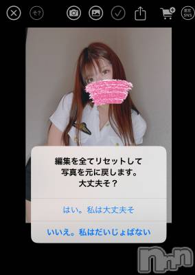 ȯѥ˥󥯥ֿ㥳ѥ˥ -϶15ǯοȼ-(˥ѥ˥󥹥) ʤʡȡ(28)427̥֥פ