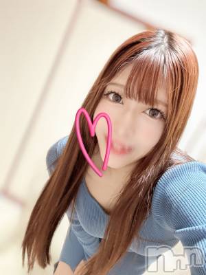 ȯѥ˥󥯥ֿ㥳ѥ˥ -϶15ǯοȼ-(˥ѥ˥󥹥) ʤʡȡ(28)1124̥֥֤Ф