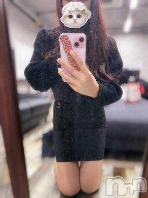 ȯѥ˥󥯥ֿ㥳ѥ˥ -϶15ǯοȼ-(˥ѥ˥󥹥) ʤʡȡ(28)113̥֥˴ְ줿
