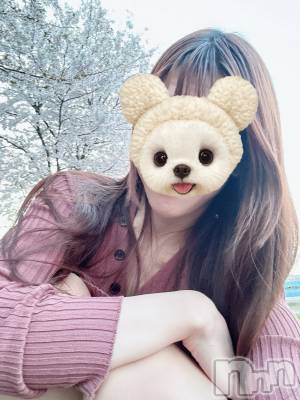 ȯѥ˥󥯥ֿ㥳ѥ˥ -϶15ǯοȼ-(˥ѥ˥󥹥) ʤʡȡ(28)415̥֥ܿͤޤƥ襫å🌸🌸🌸🇯🇵