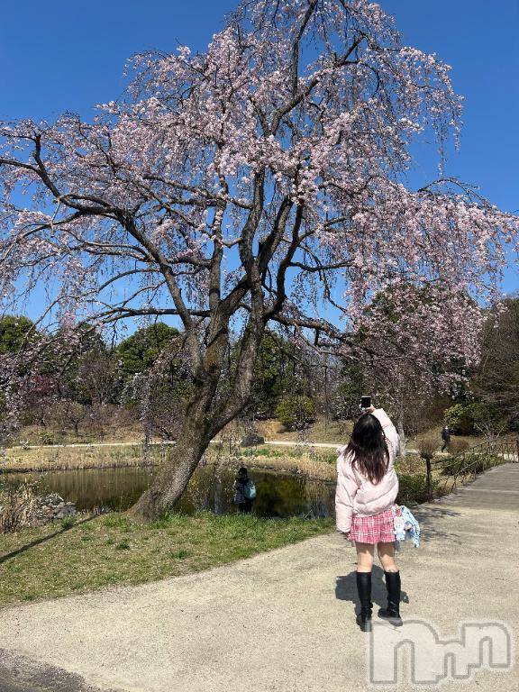 新潟ソープ新潟バニーコレクション(ニイガタバニーコレクション) ルナ(21)の3月25日写メブログ「こんにちはちはちは‼️‼️」