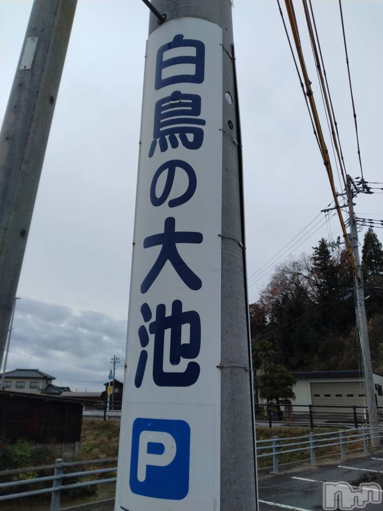 新潟デリヘル奥様特急 新潟店(オクサマトッキュウニイガタテン) みき(37)の12月18日写メブログ「12月18日 18時26分のブログ」