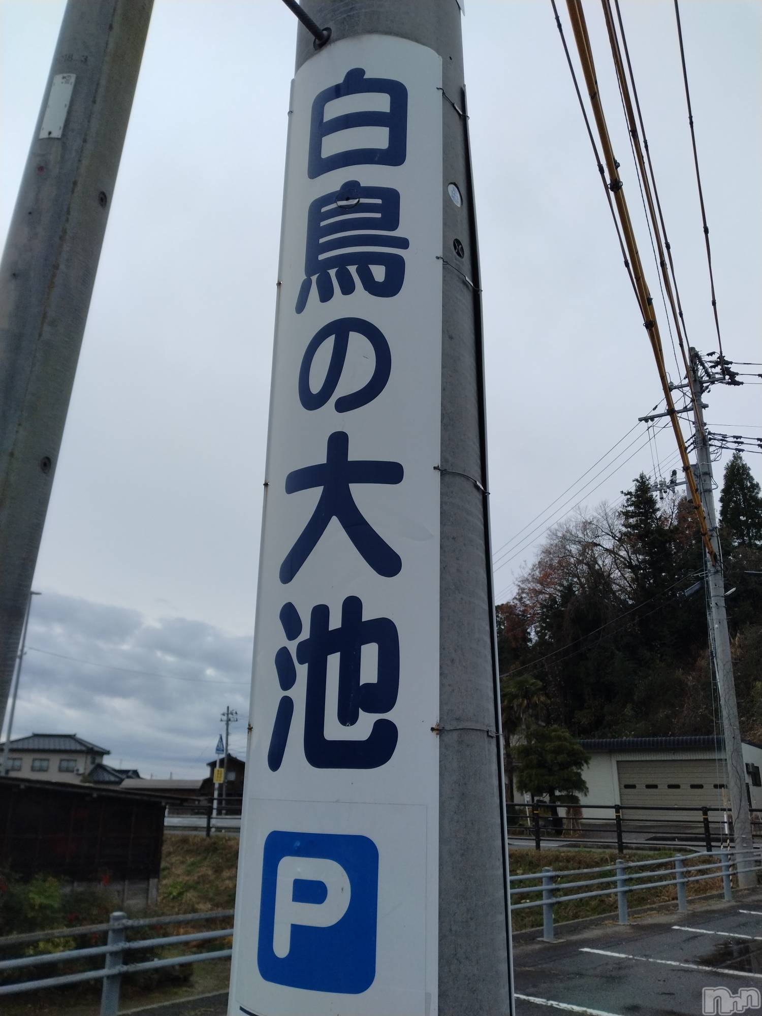 新潟デリヘル奥様特急 新潟店(オクサマトッキュウニイガタテン)みき(37)の2024年12月18日写メブログ「12月18日 18時26分のブログ」