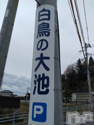 新潟デリヘル 奥様特急 新潟店(オクサマトッキュウニイガタテン) みき(37)の12月18日写メブログ「12月18日 18時26分のブログ」