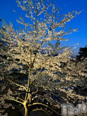 上田発デリヘル BIBLE～奥様の性書～(バイブル～オクサマノセイショ～) ☆ナナセ☆(36)の4月13日写メブログ「ありがとうございます⭐︎」