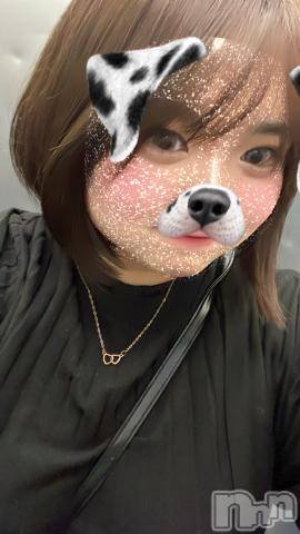 長岡デリヘル奥様特急 長岡店(オクサマトッキュウナガオカテン) ななみ(20)の3月11日写メブログ「退勤❣️」