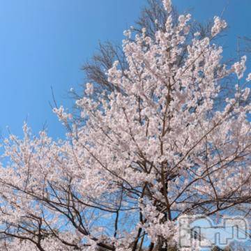 上田発人妻デリヘル BIBLE～奥様の性書～(バイブル～オクサマノセイショ～) ★恵美-エミ-★体験(30)の4月10日写メブログ「こんばんは」