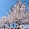 上田発人妻デリヘル BIBLE～奥様の性書～(バイブル～オクサマノセイショ～) ★恵美-エミ-★(30)の4月10日写メブログ「こんばんは」