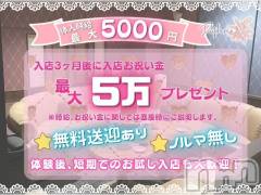 体験後、短期でのお試し入店も大歓迎！！