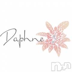 古町キャバクラ・クラブ(ダフネ)のお店速報「⭐︎ダフネ本日出勤⭐︎」