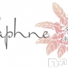 ĮХ顦 Daphne(ե)425Ź®Daphneե͡жС