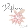 ��Į����Х��顦����� Daphne(���ե�)��9��17����Ź®��֡����ե������жС���