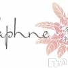 ĮХ顦 Daphne(ե)52Ź®Daphneե͡жС