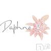 ��Į����Х��顦����� Daphne(���ե�)��8��3����Ź®��֡����ե������жС���