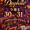 ��Į����Х��顦����� Daphne(���ե�)��10��27����Ź®���☆平日限定お得なプラン実施中☆��