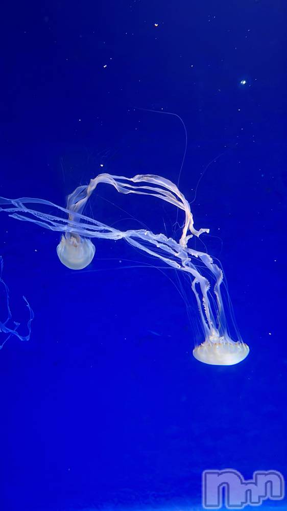 ĮХ顦Club Lusso(֡å) 41ֽ̥֥ж👌