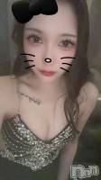ĮХ顦 Club Lusso(֡å) 510̥֥🖤