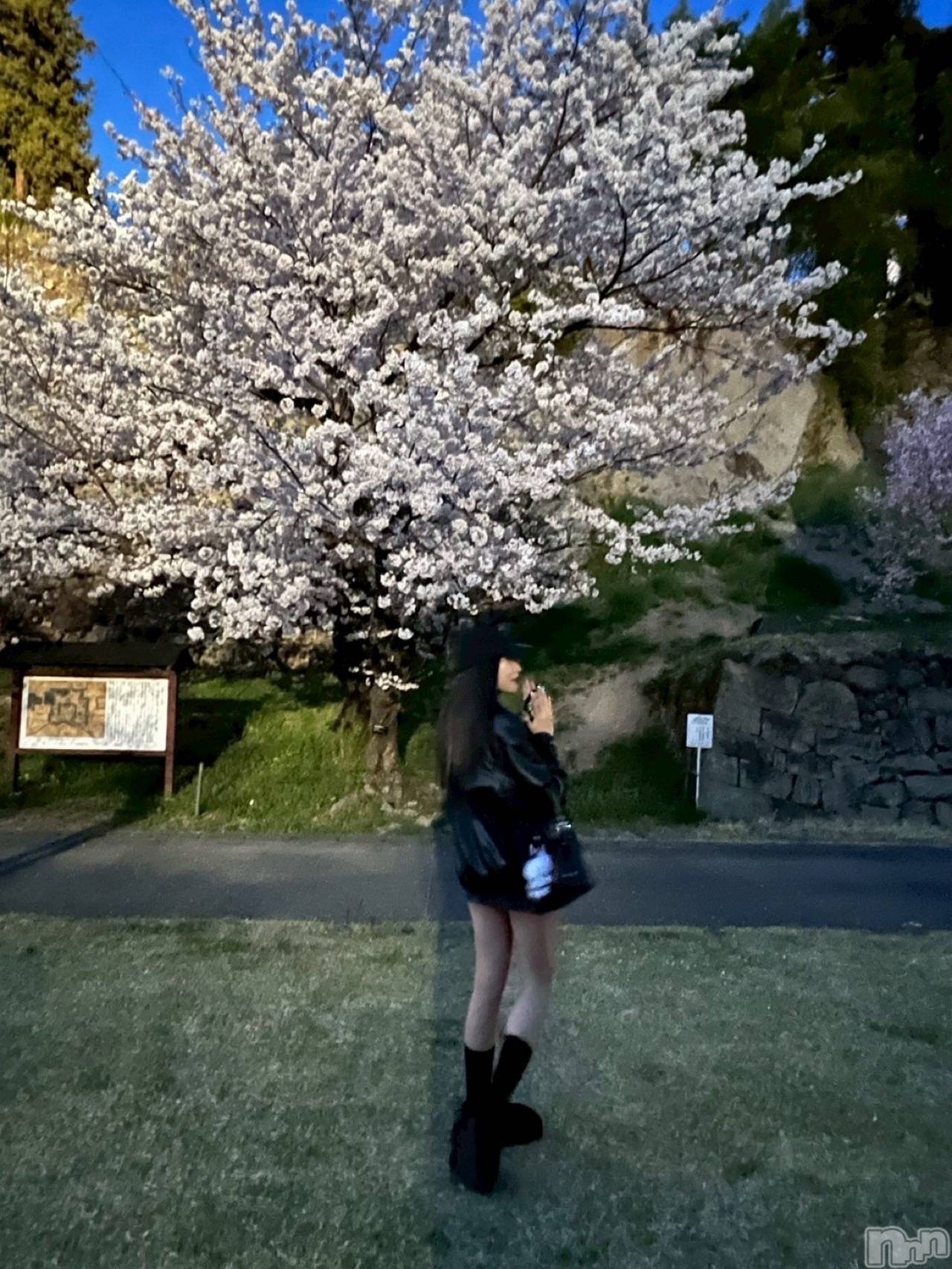 ĮХ顦Club Lusso(֡å) 2025ǯ412̥֥🌸