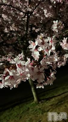 ĮХ顦Club Lusso(֡å) (22)413̥֥🌸