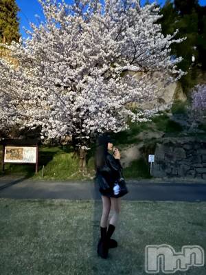 ĮХ顦Club Lusso(֡å) (22)412̥֥🌸
