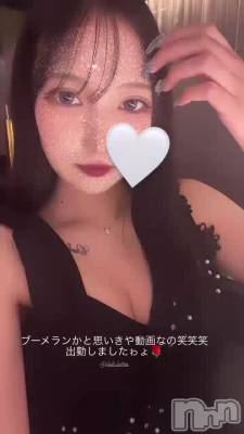 🌹✨🌹🌹
