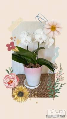 松本発デリヘル 松本人妻隊(マツモトヒトヅマタイ) のあ(41)の5月12日写メブログ「母の日💐」