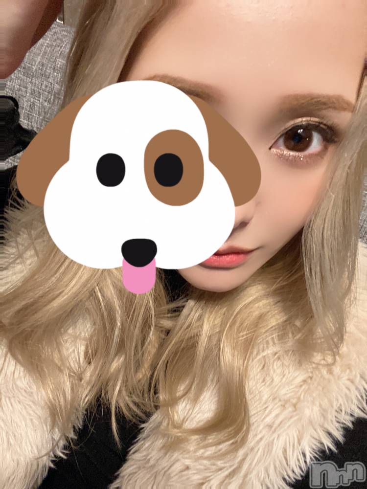 ȯѥ˥󥯥ֿ㥳ѥ˥ -϶15ǯοȼ-(˥ѥ˥󥹥) ΤХåդ326̥֥֤╹◡╹ˡ