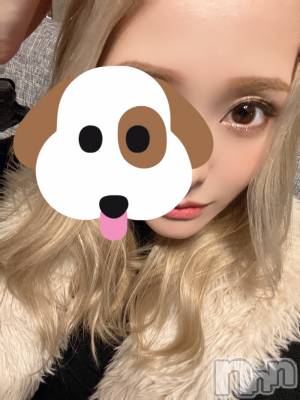 ȯѥ˥󥯥ֿ㥳ѥ˥ -϶15ǯοȼ-(˥ѥ˥󥹥) ΤХå(28)326̥֥֤╹◡╹ˡ