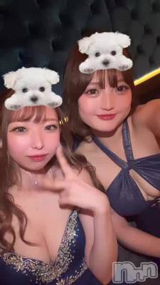 911 2017ʬΥ֥